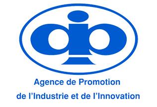Api logo